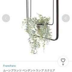 francfranc 照明器具(家具)の中古が安い！激安で譲ります・無料で