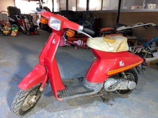 SUZUKI 薔薇50D