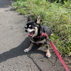 お返事出来なかった方申し訳ありません(>_<)ありがとうございま...