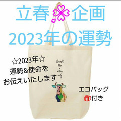 【立春🌸企画】2023年の運勢&使命 ＋エコバッグ🎁 ※メルカリ...
