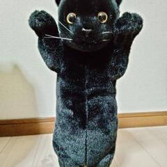 全長　約39センチ　猫ぬいぐるみ