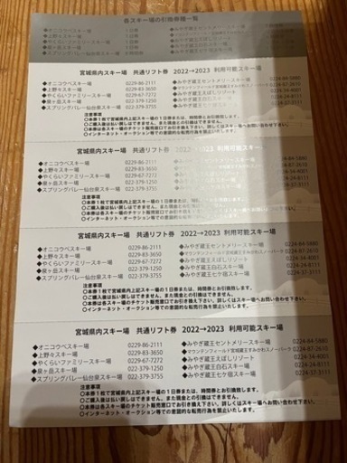 宮城スキー場 見通せ 共通リフト券