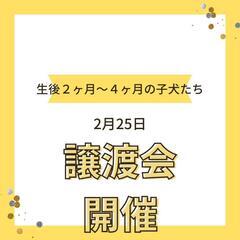 2月25日土曜日12時より