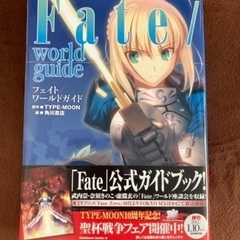 Fate/world guide