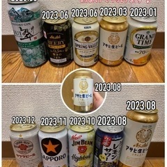 ビール、酎ハイ各種１０本セット