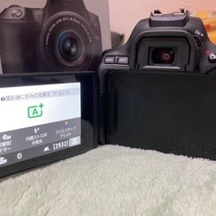 一眼レフ 美品