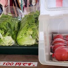 雑貨、服、その他