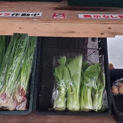 雑貨、服、その他