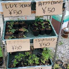 雑貨、服、その他