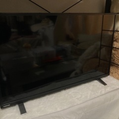 テレビ一人暮らし