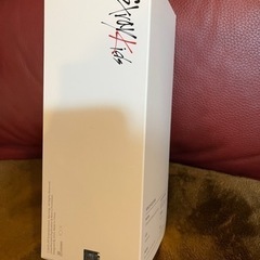 ストレイキッズ スキズ Stray Kids 公式 ペンライト