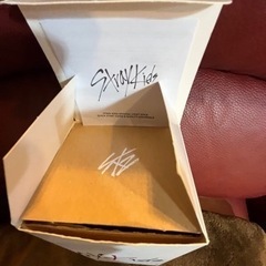 ストレイキッズ スキズ Stray Kids 公式 ペンライト