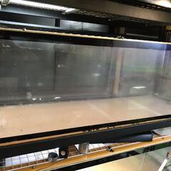 期間限定の値下げ大型水槽