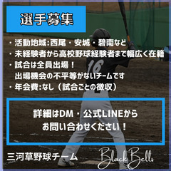 【選手募集】愛知県三河地方の草野球チーム