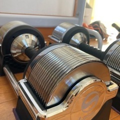 ライシン メタルダンベル 1kg刻み 32kg 2個セット 可変式 ダンベル