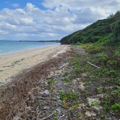 Beach Cleaning に参加してくれる人募集中！！の画像