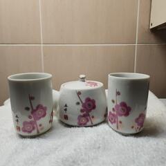 桜🌸柄湯呑み  お茶セット