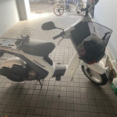 SUZUKI スーパーモレ 不動