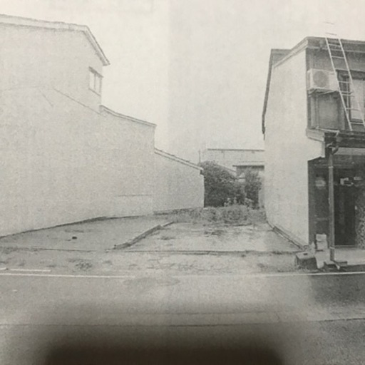 値下げ‼️陶楽窯 桑原リエ作 白地緑釉葉脈皿