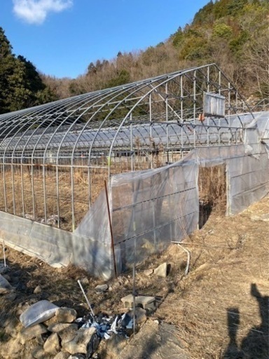 ビニールハウス