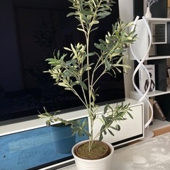 120cm フェイクグリーン 陶器鉢付き 観葉植物