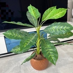 フェイクグリーン 観葉植物 籠付き