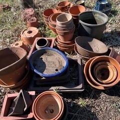 植木鉢 鉢 観葉植物 ガーデニング 鉢植え 園芸 盆栽 陶器 和鉢