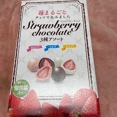 【神戸市、たつの市で受け渡し可】ストロベリーチョコレート アソー...