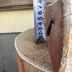 （センダンの木）無垢天板（4m超）