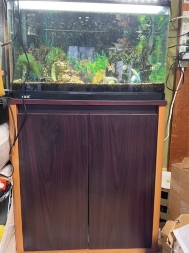 値段交渉可です。あるもの全部セットです。