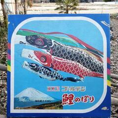 【ネット決済】大きな鯉のぼり　ゴールデン　旭化成