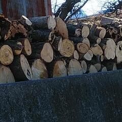 薪用伐採木③　カット済