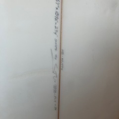 Hot Buttered ホット バタード サーフィン