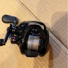 ベイトリール スコーピオンDC 101