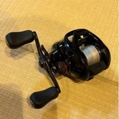 ベイトリール スコーピオンDC 101