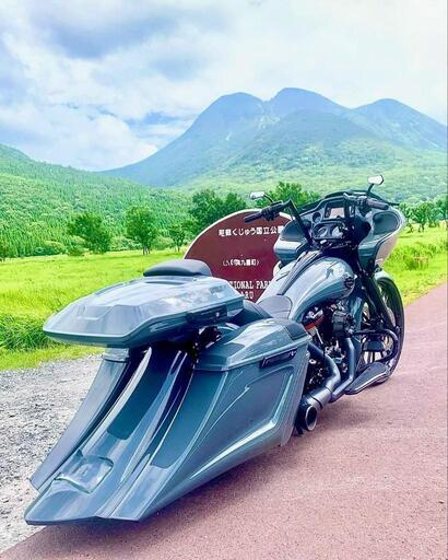 ハーレーダビットソン TR CVO 2019年式 | qsfirst.sg