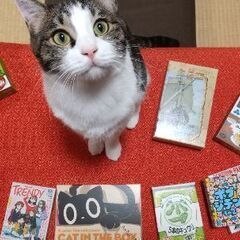 【満員御礼】3/12(日)10:00～🍀日暮里ボードゲーム会🍀【...