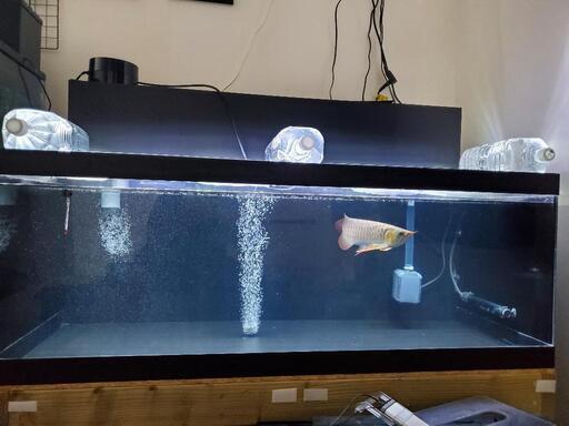 120センチ水槽　アクリル水槽のみ