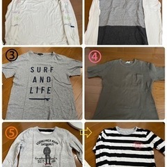 Ｔシャツ(5点)