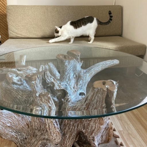 kajaのソファー＆ガラステーブル(猫は付きません)