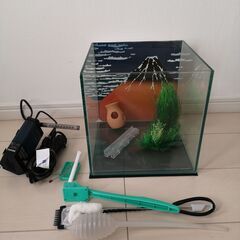 熱帯魚用水槽一式