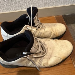 ゴルフ靴（adidas）