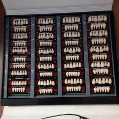 歯科技工素材　多数
