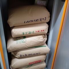 【お値下げ】キヌヒカリ玄米一袋３０Kg（２０２２年秋収穫：低温貯...