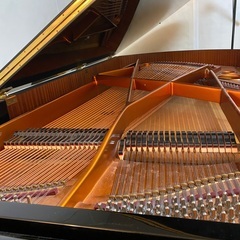 ベーゼンドルファー２２５