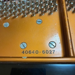 ベーゼンドルファー２２５