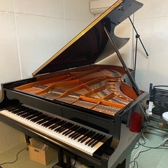 ベーゼンドルファー２２５