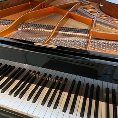 ベーゼンドルファー２２５