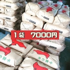 コシヒカリ　玄米30キロ