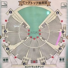 4月5日 シルクドゥソレイユ　アレグリア 東京公演